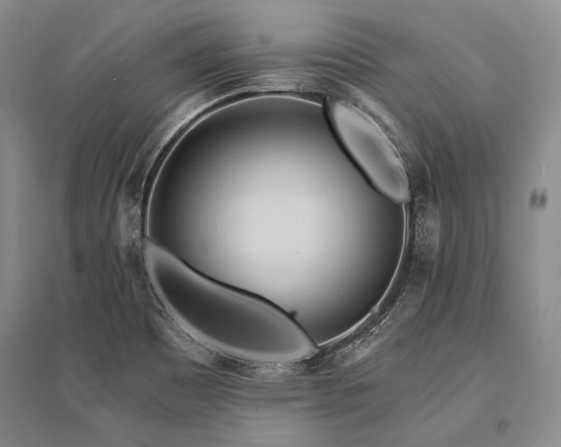 X0000095521465200712141435
