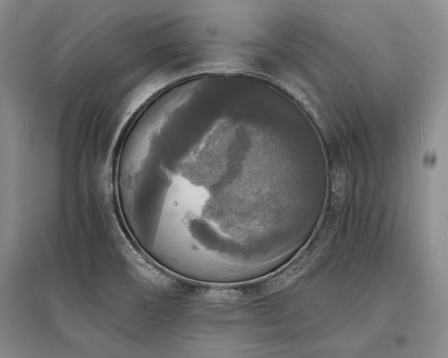 X0000095521466200712141435
