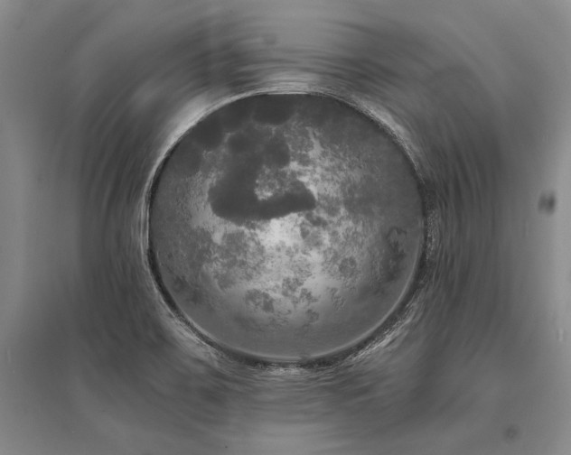 X0000095521467200712141435