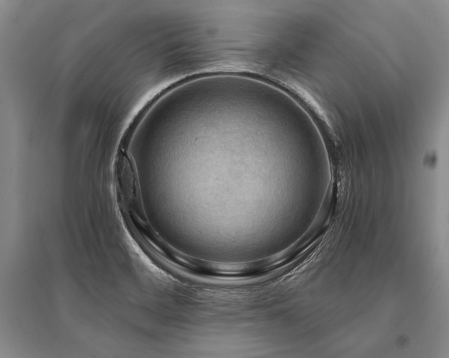 X0000095521468200712141435