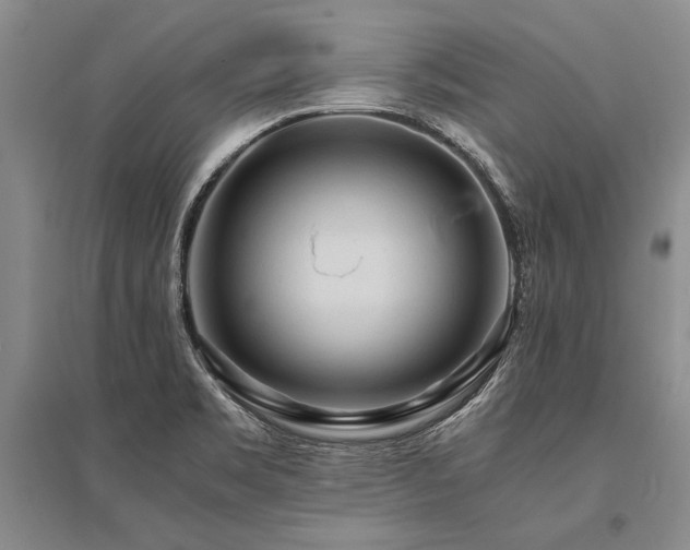 X0000095521469200712141435
