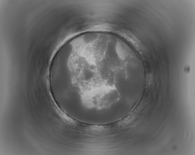 X0000095521470200712141435