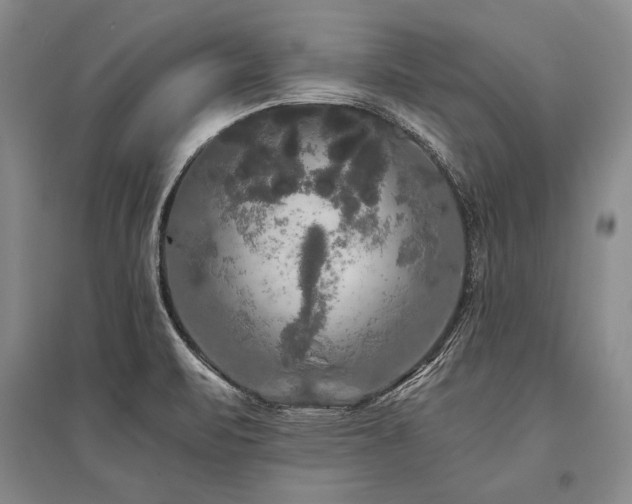 X0000095521471200712141435