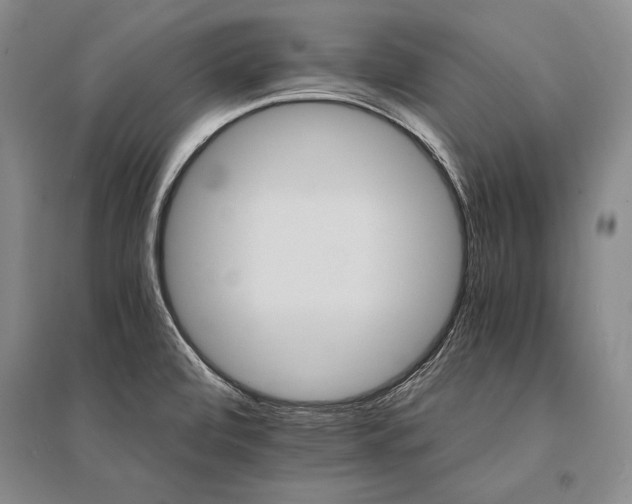 X0000095521472200712141435
