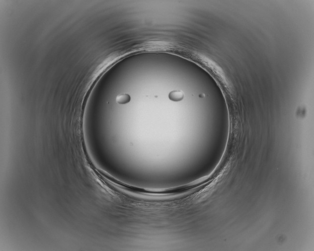 X0000095521473200712141435
