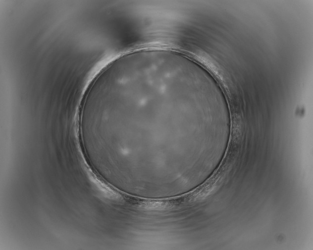 X0000095521474200712141435