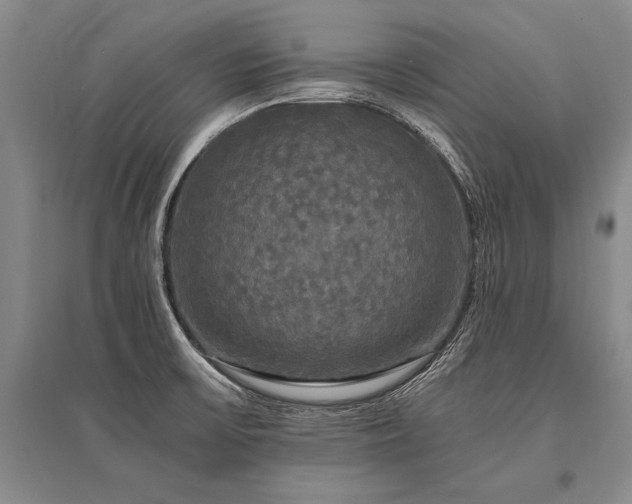 X0000095521475200712141435