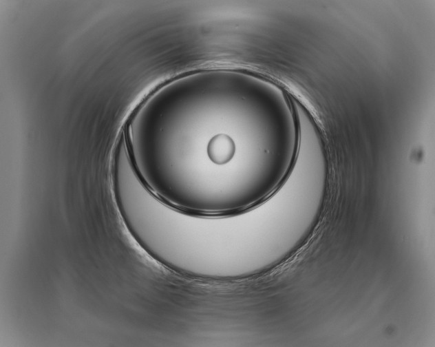 X0000095521476200712141435