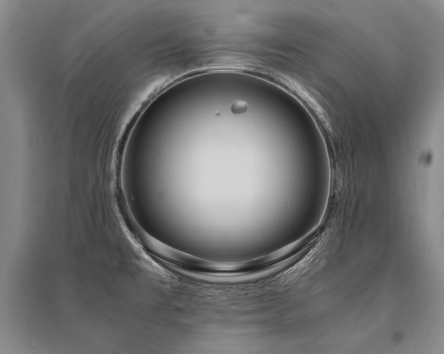 X0000095521477200712141435