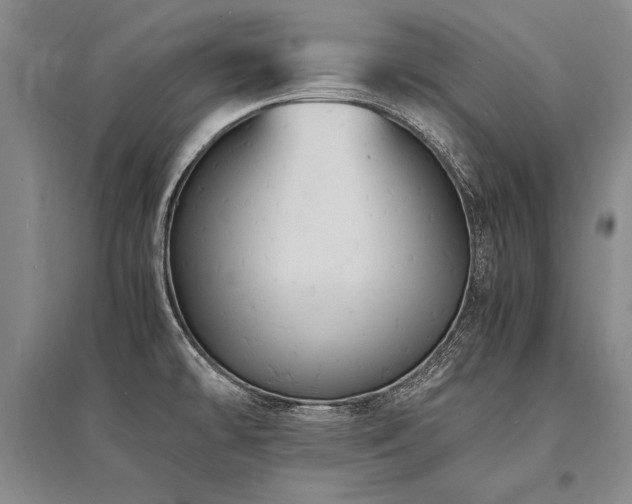 X0000095521478200712141435