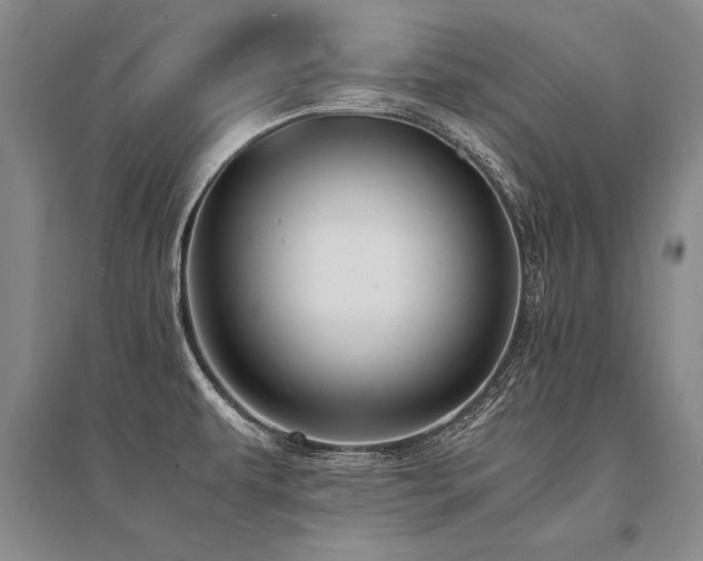 X0000095521479200712141435