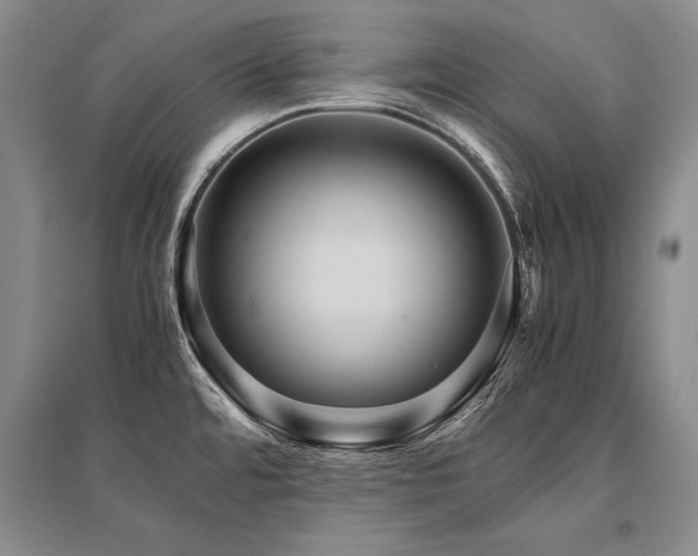 X0000095521480200712141435