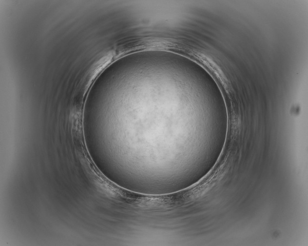 X0000095521481200712141435