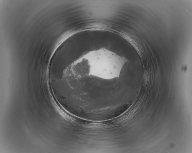 X0000095521482200712141435