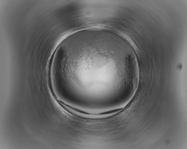 X0000095521483200712141435