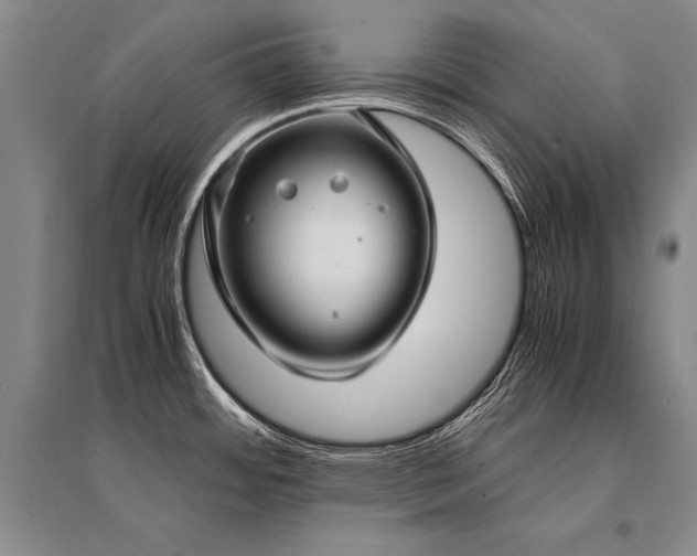 X0000095521484200712141435
