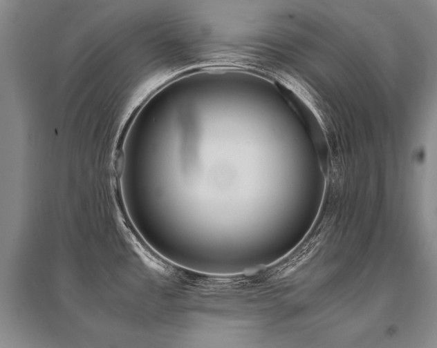 X0000095521485200712141435