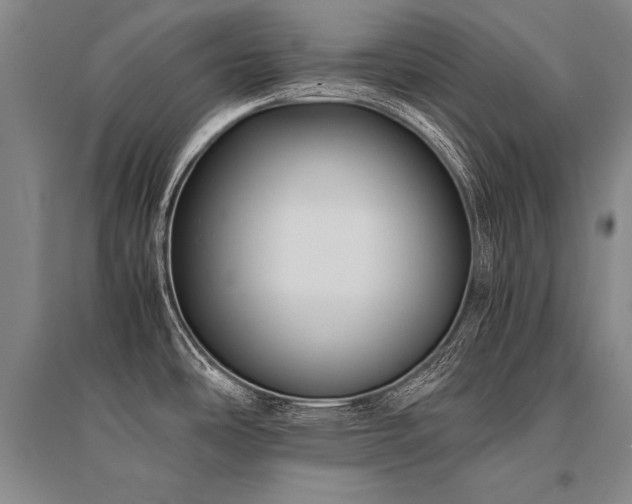 X0000095521486200712141435
