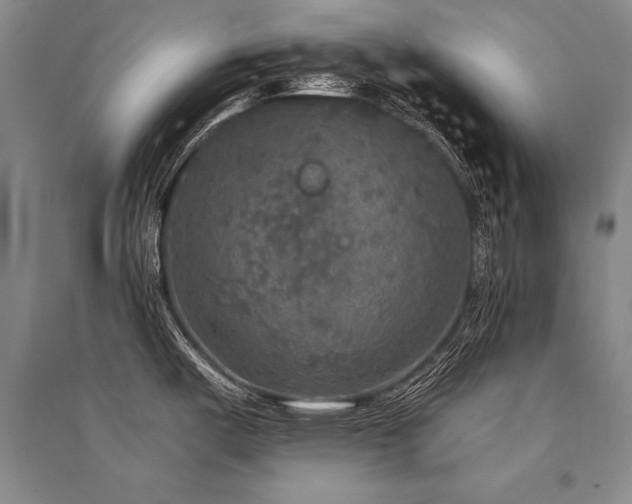 X0000095521487200712141434