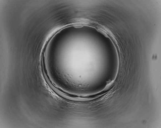 X0000095521488200712141434