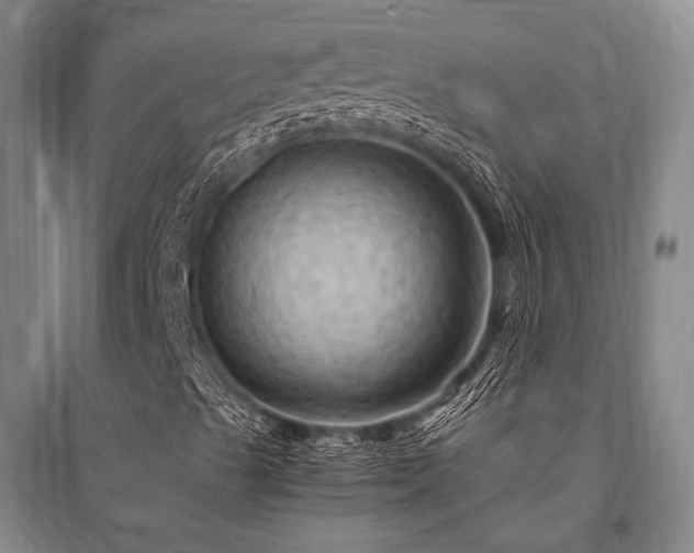 X0000095521489200712141434