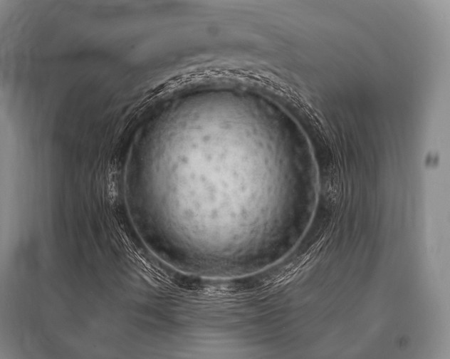 X0000095521490200712141434