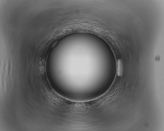 X0000095521491200712141434