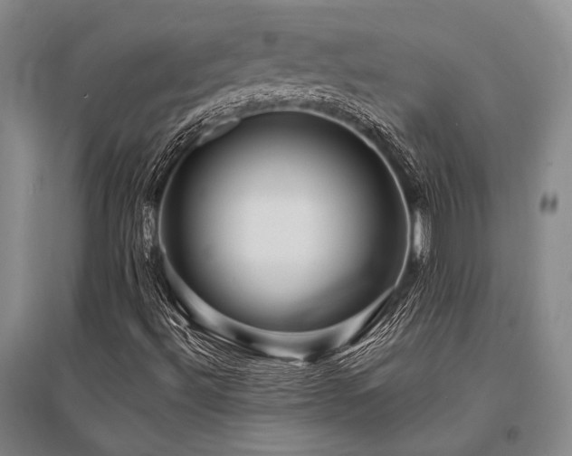 X0000095521492200712141434