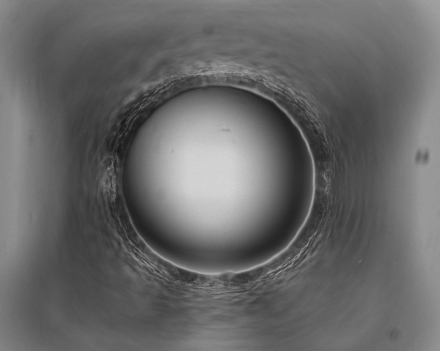 X0000095521493200712141434