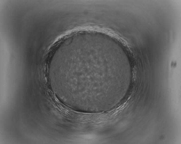 X0000095521494200712141434