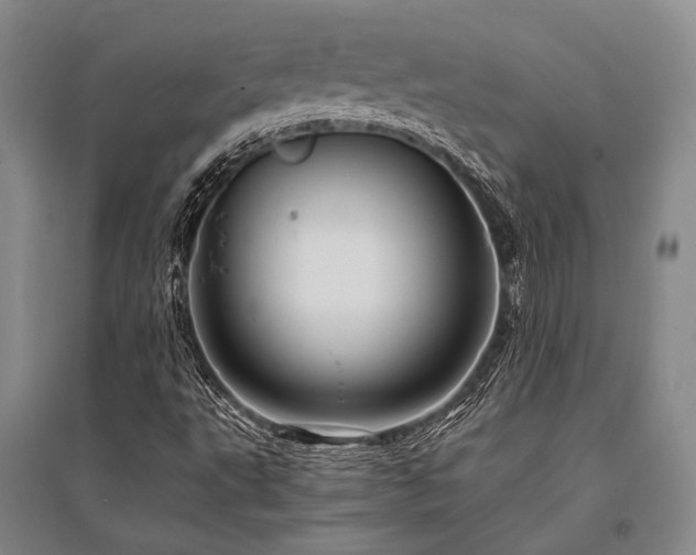 X0000095521495200712141434