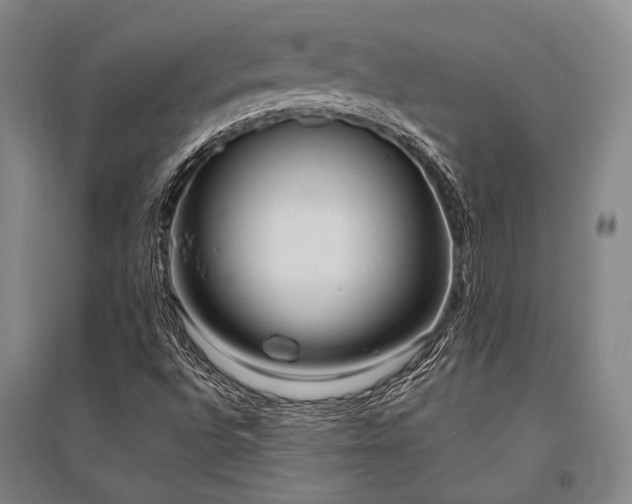 X0000095521496200712141434