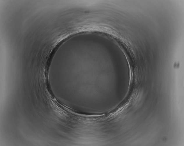 X0000095521497200712141434