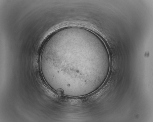 X0000095521498200712141434