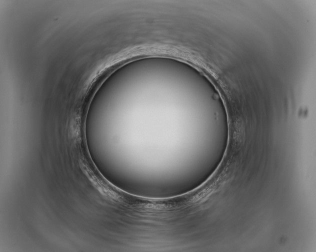 X0000095521499200712141434