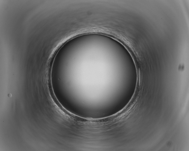 X0000095521500200712141434