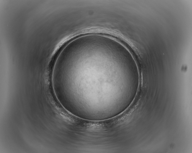 X0000095521501200712141434
