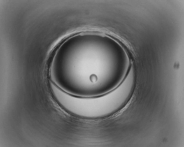 X0000095521502200712141434