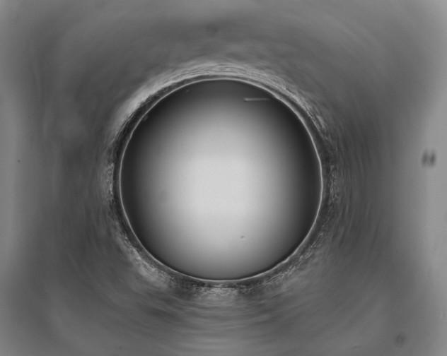 X0000095521503200712141434