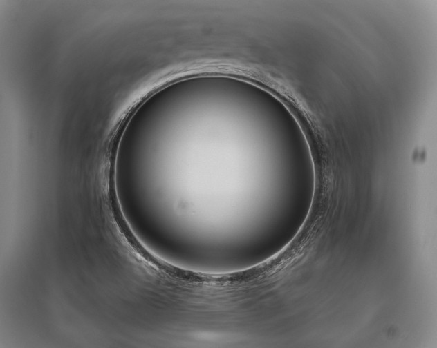 X0000095521504200712141434