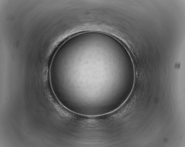 X0000095521507200712141434