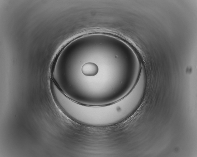 X0000095521508200712141434