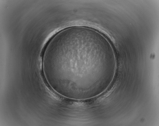 X0000095521509200712141434