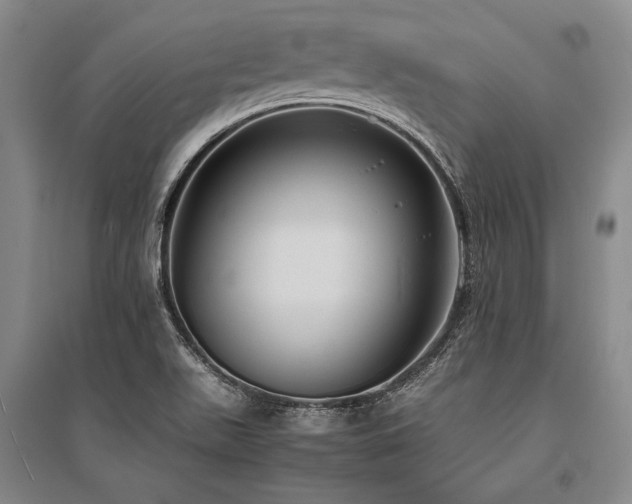 X0000095521511200712141434