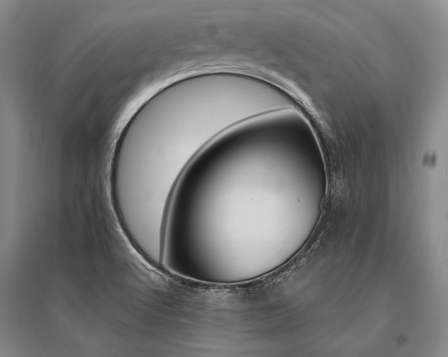 X0000095521512200712141434