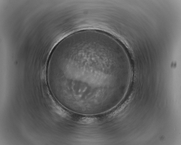 X0000095521513200712141434