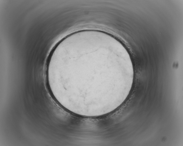 X0000095521514200712141434