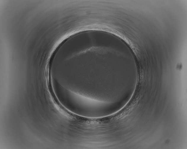 X0000095521515200712141434