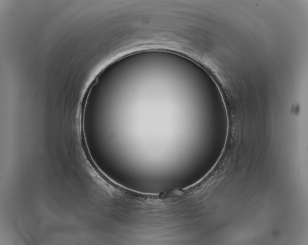 X0000095521516200712141434