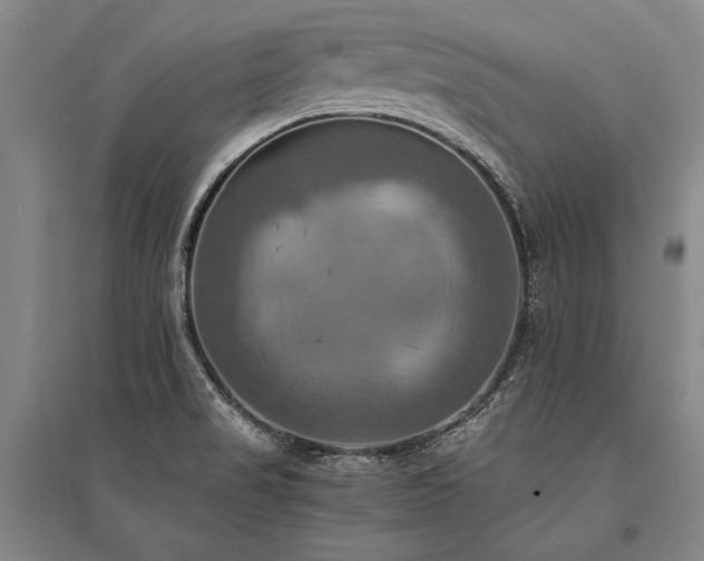 X0000095521517200712141434